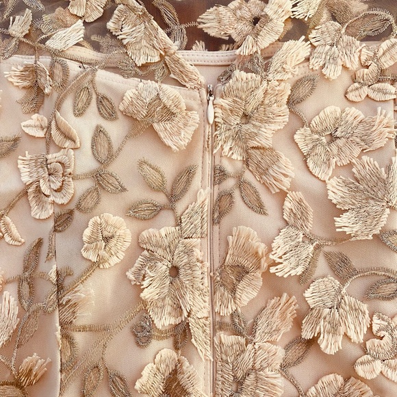 Elegant Adrianna papell Floral Dress in blush - Picture 7 of 7